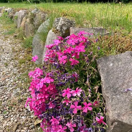 Reet Und Beckerwitz Apart Otel Hohenkirchen (Nordwestmecklenburg)